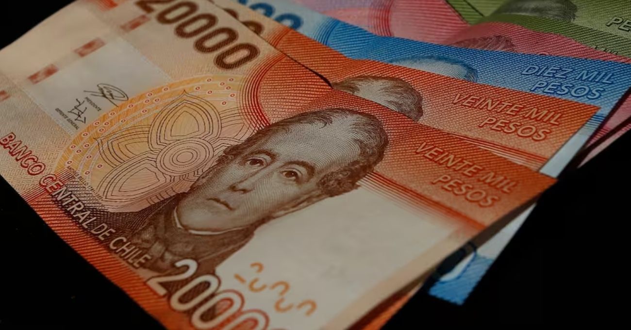 Consulta con tu RUT si accedes al bono de $292.275 que entrega el IPS en abril