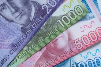 Consulta pago PGU con RUT: revisa si recibes $224.000