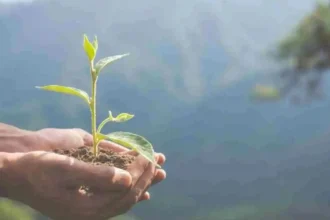 Consulta pública define normas clave para proteger biodiversidad y armonizar producción en Chile