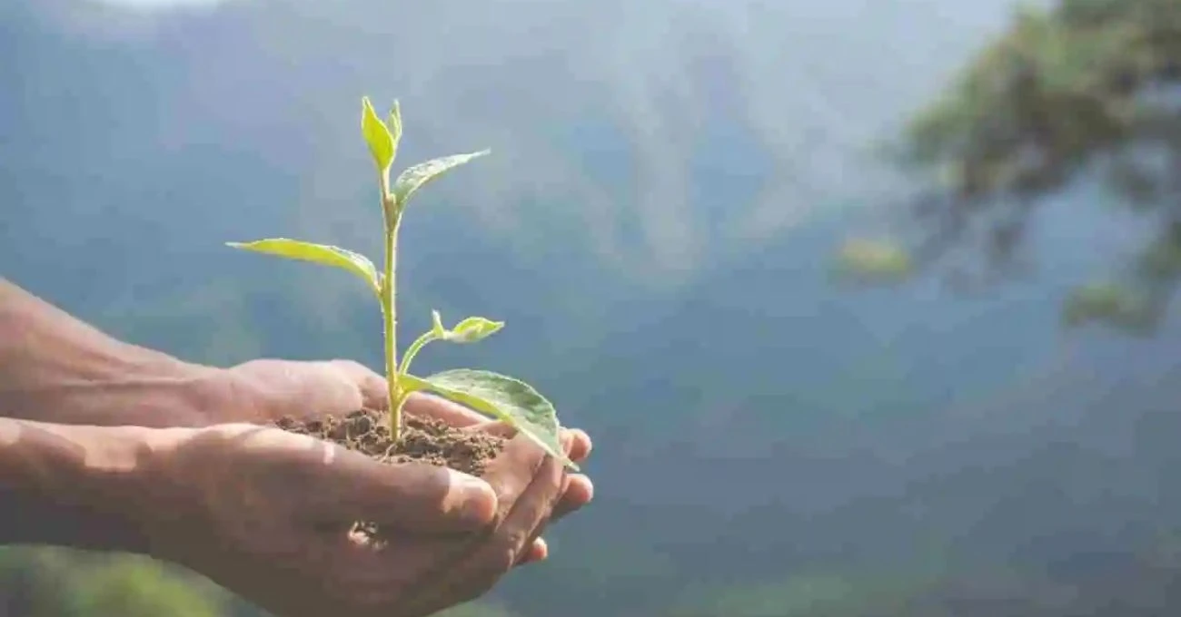 Consulta pública define normas clave para proteger biodiversidad y armonizar producción en Chile