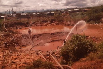 Cooperación andina para combatir la minería ilegal: Desafíos y avances