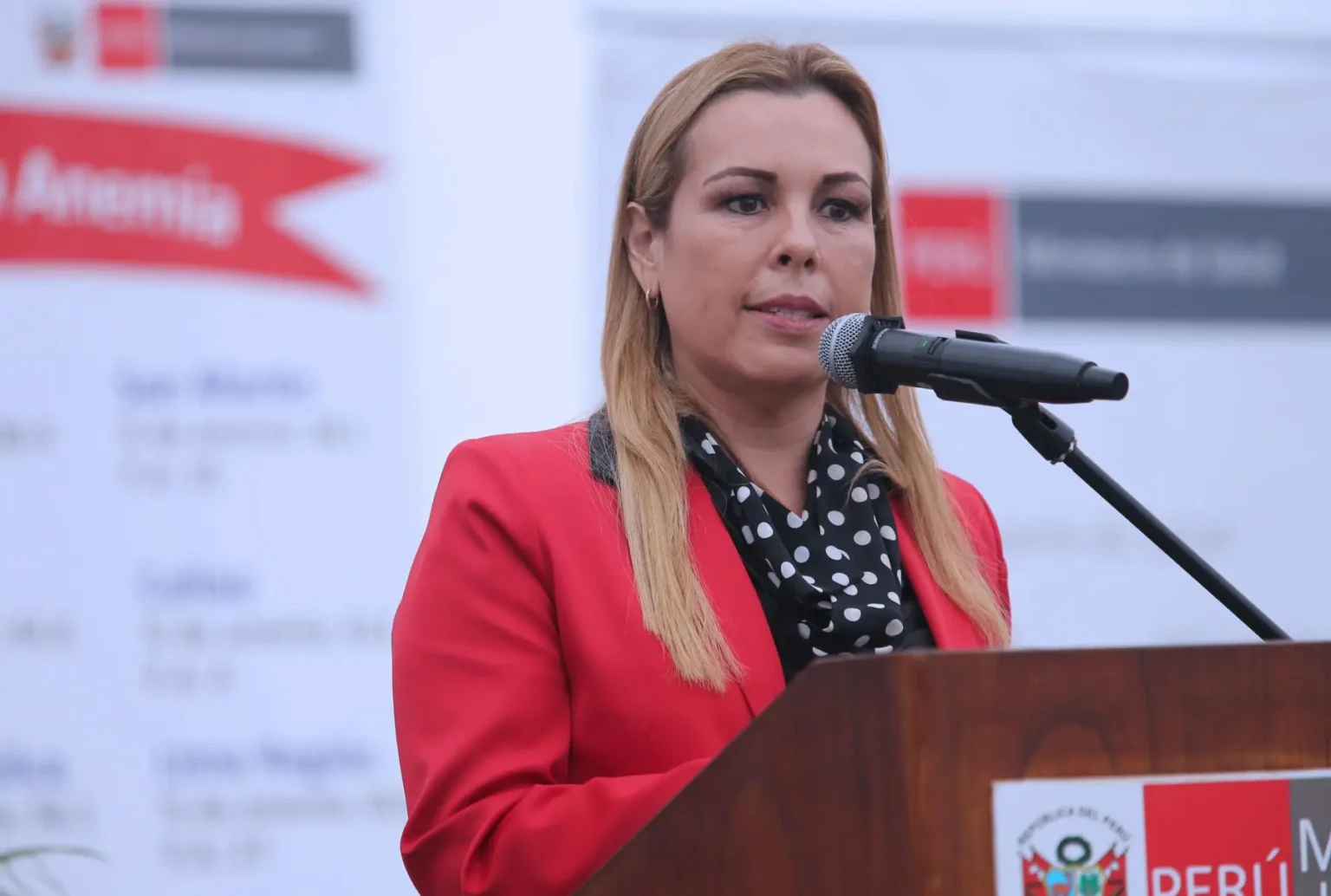 Crítica de Fiorella Molinelli: Congreso no es capaz de reformar la minera
