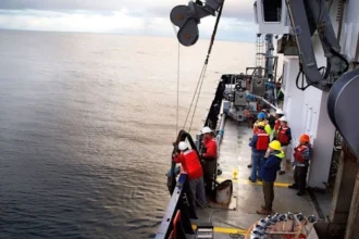 Deep Sea Rare Minerals solicita licencias para exploración de minerales submarinos en aguas de jurisdicción estadounidense