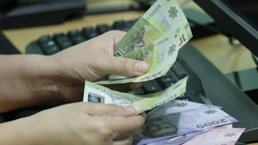 Bonos para adultos mayores en marzo 2026: detalles del Aporte Familiar Permanente y la PGU