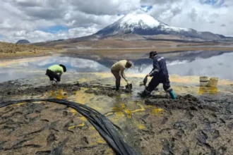 Derrame en Lago Chungará escala en gravedad: Conaf confirma muerte de fauna protegida y riesgo para más de 80 aves