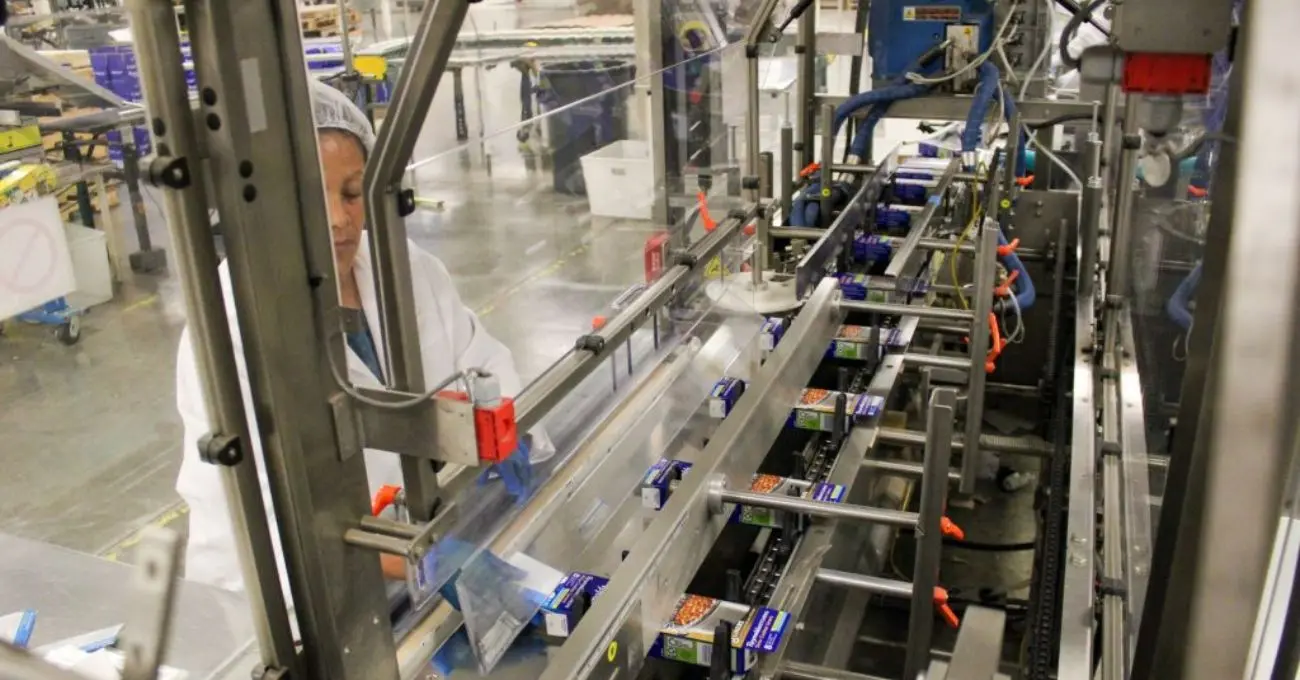 Desaceleración al cierre de 2025: economistas anticipan un Imacec de diciembre incluso bajo 1%