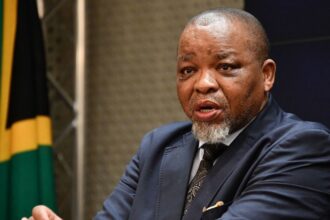 Desacuerdo por minerales entre CEO y ministro sudafricano: ¿Creciente tensión internacional?