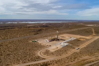 Desafíos técnicos en Vaca Muerta: clave la optimización y comprensión del subsuelo