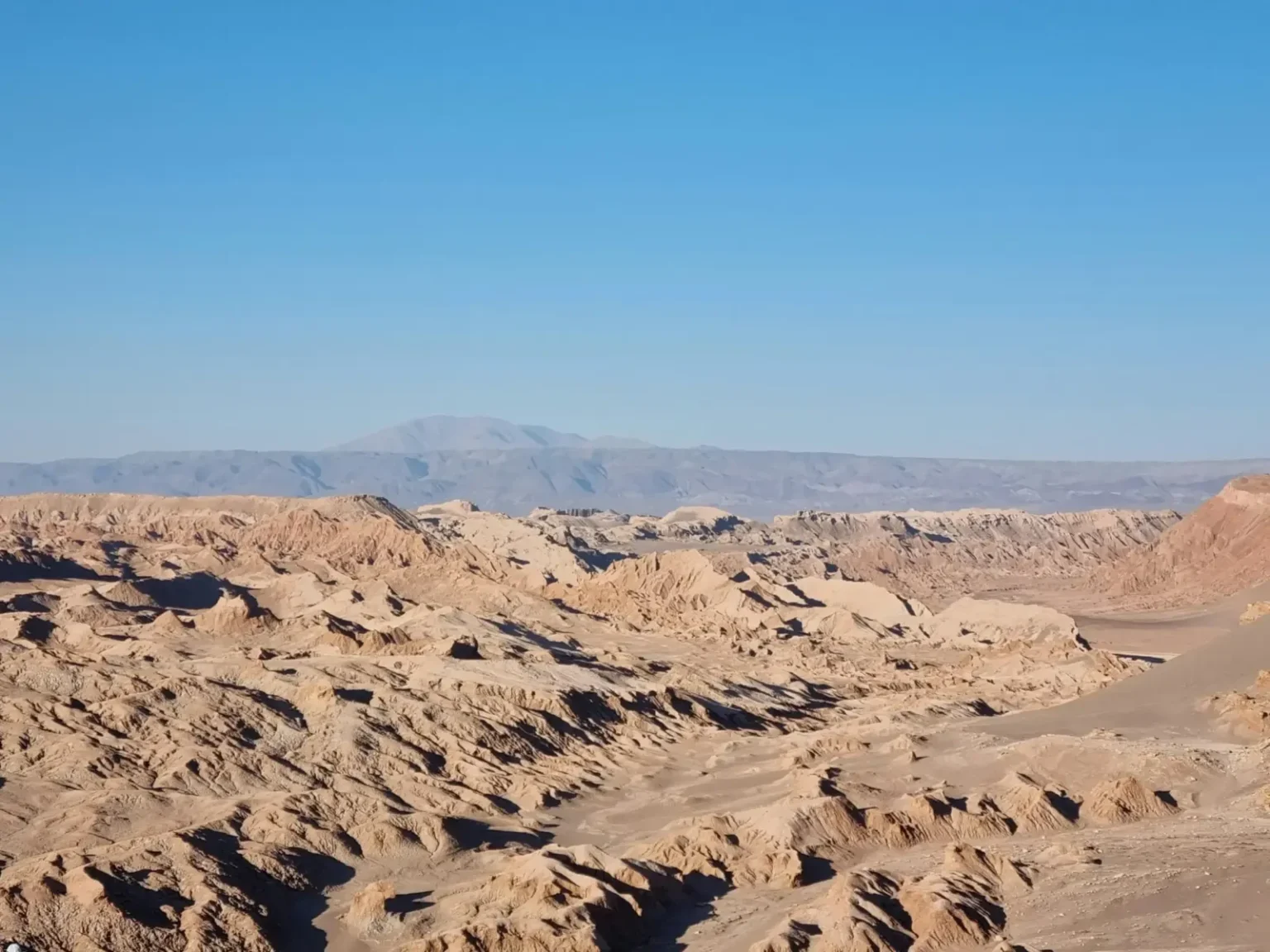 Descubren Cobre de alta ley en Atacama: 7,13% en Cordillera Cobre abre una nueva señal geológica que el mercado ya mira de cerca