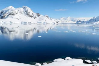 Descubren criaturas marinas en la Antártida que podrían ser nuevas para la ciencia
