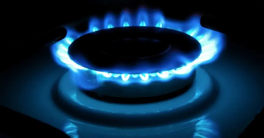 Gobierno implementará Subsidio de Gas Licuado con pago directo a beneficiarios