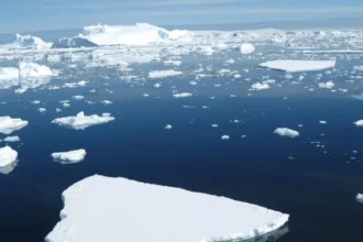 Deshielo de la Antártida: el umbral de 1–2 °C que compromete 40% del hielo marino del oeste, según un estudio