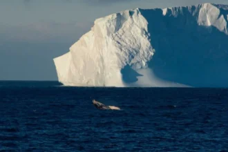 Deshielo polar alarga los días a un ritmo inédito en 3,6 millones de años