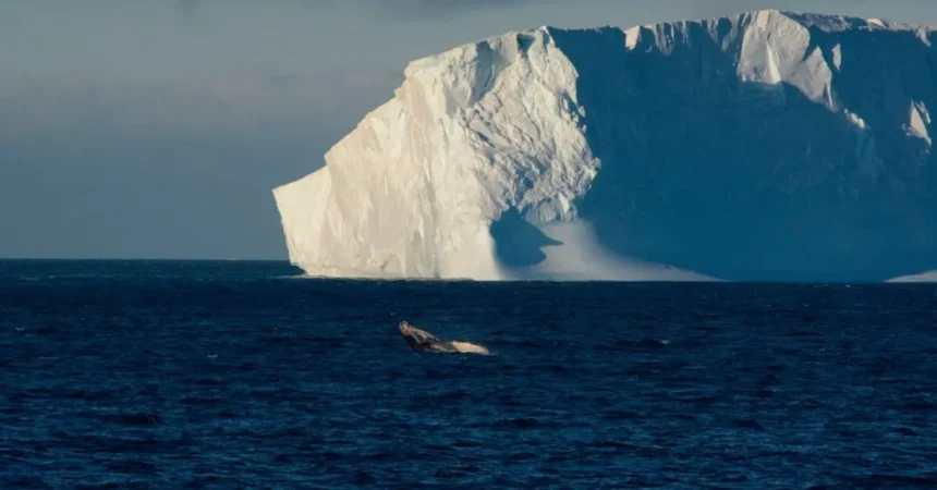 Deshielo polar alarga los días a un ritmo inédito en 3,6 millones de años