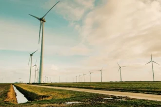 Desperdicio de energía: Chile pierde 5.900 GWh de renovables en un año