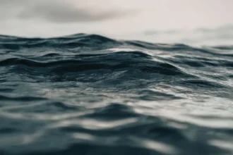 Dinamarca lidera proyecto que transforma olas en energía limpia y agua potable