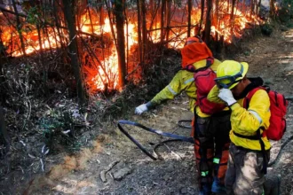 Disparos en zona rural fuerzan repliegue de Bomberos durante combate de incendio en Concepción