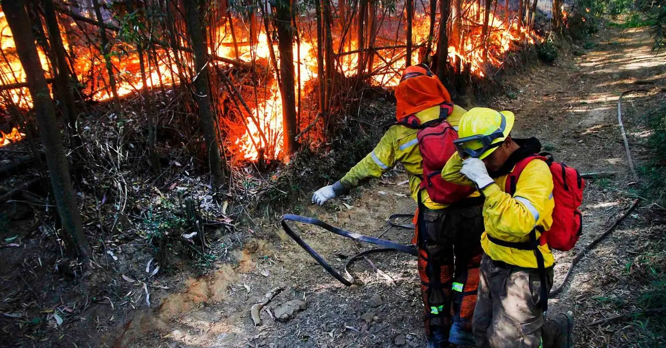 Disparos en zona rural fuerzan repliegue de Bomberos durante combate de incendio en Concepción