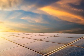 Dos veces verde: experimento en un desierto demostró que los paneles solares pueden restaurar ecosistemas