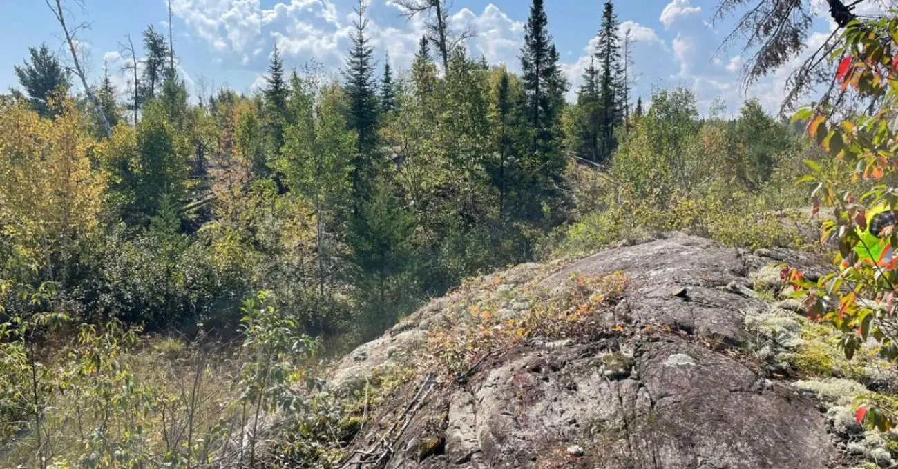 Dryden Gold informa de 6,4 g/t de oro sobre 3,30 metros incluyendo 153,10 g/t de oro sobre 1,00 metros en una nueva estructura de muro de alta calidad en Pearl