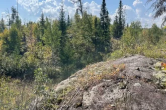 Dryden Gold informa de un aviso de recarga directa de Centerra Gold y destaca los planes de exploración 2026
