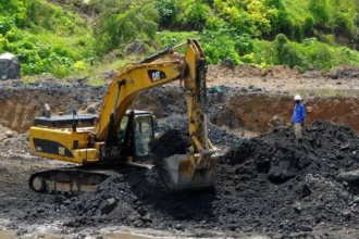 EE.UU. niega financiar guardia minera de Congo de US$100 millones tras anuncio de Kinshasa