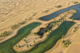 Egipto transforma el desierto en ciudad sostenible con innovador corredor verde