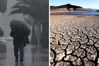 El Niño podría traer lluvias y calor extremo al sur de Chile en 2026
