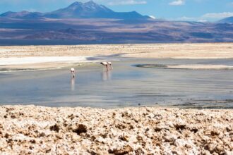 “El salar de Atacama es un condenado a muerte”: Atacameños presentan demanda por hundimiento del ecosistema