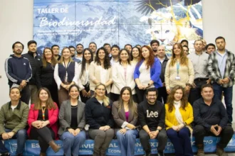 El Teniente refuerza protección de fauna nativa con actualización de protocolo en Carretera El Cobre