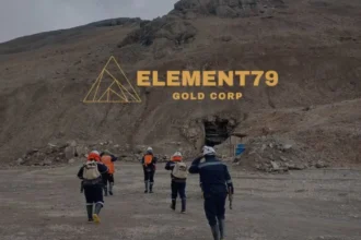 Element79 Gold nombra a Mohammad Fazil como nuevo director destacado