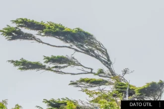 Emiten avisos de viento: ráfagas de hasta 110 km/h entre Isla de Pascua y Magallanes