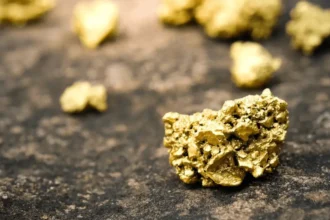 Empresario chino busca instalar 4 lavaderos de oro en Mariquina con inversión de US$400 mil