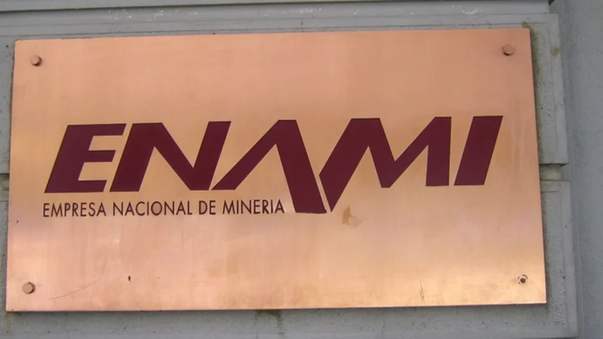 Vicepresidente ejecutivo de Enami expone oportunidades de negocio en Sonami
