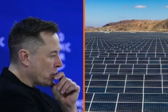 Energía solar en la España despoblada: el plan de Elon Musk y el objetivo 42,5% renovable que pone a prueba el modelo