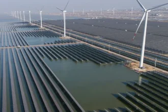 España se apoya en las renovables para contener el impacto del alza de los combustibles