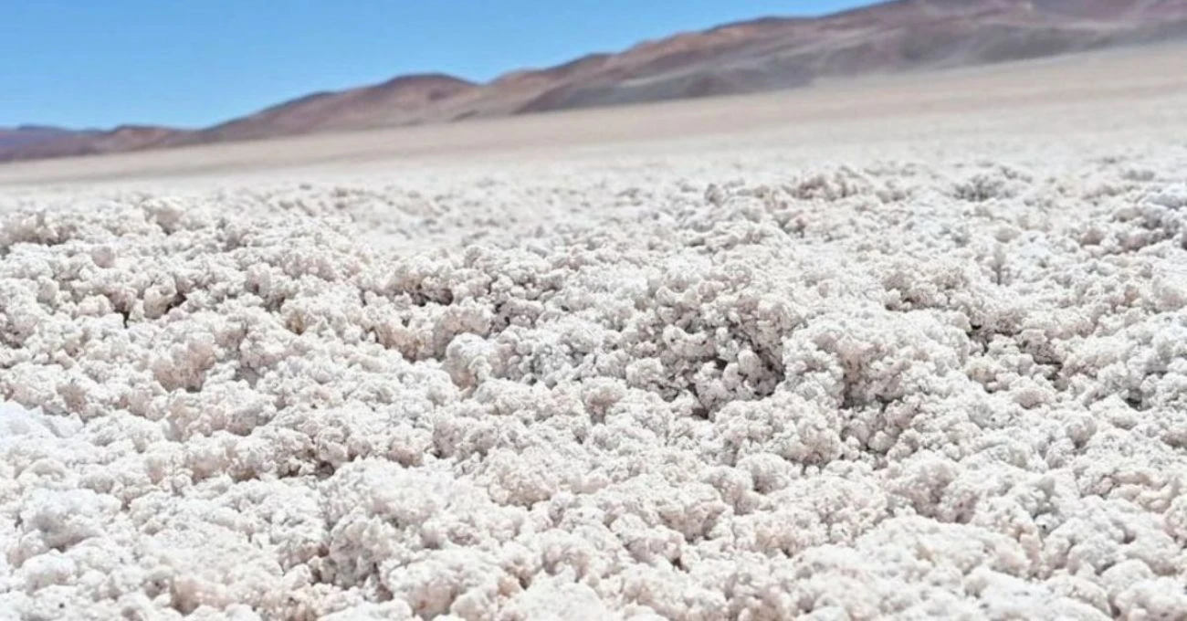 Expansión de litio: Nuevo proyecto en Quillagua Este fortalece industria chilena