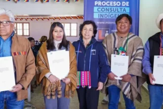 Finalizan Consultas Indígenas para la entrega de CEOL en salares de Ollagüe y Ascotán