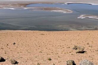 First Lithium Minerals revela resultados prometedores de litio y boro en el Proyecto Ascotan, Salar de Antofagasta