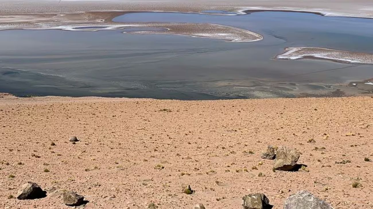 First Lithium Minerals revela resultados prometedores de litio y boro en el Proyecto Ascotan, Salar de Antofagasta