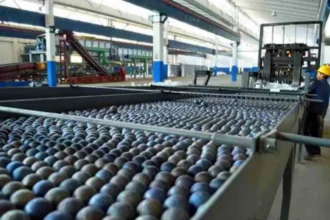 FNE abre investigación por compra de Molycop y evalúa impacto en la competencia minera