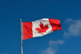 Fondos de pensiones canadienses lideran con altos retornos en acciones públicas