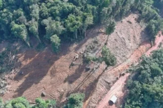 G Mining inicia trabajos en proyecto de oro Oko West en Guyana