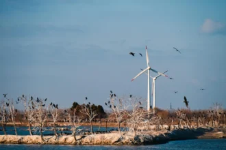 Generación eléctrica en América Latina llegó a 153 TWh en diciembre, con mayor respaldo térmico