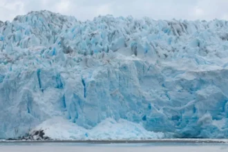 Glaciar Pío XI: el avance de más de 10 km desde 1945 que intriga a la ciencia en la Patagonia