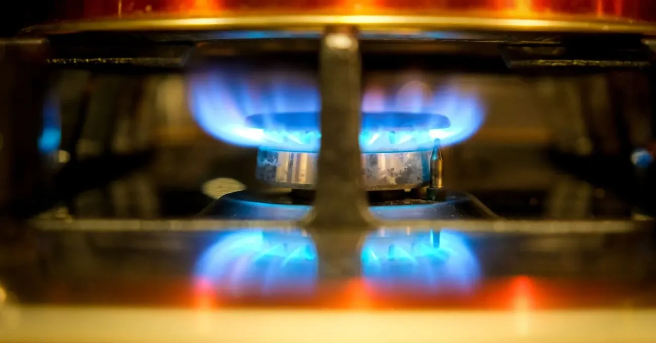 Gobierno anuncia balón de gas para hogares del 80% del RSH y bono de $100 mil para la pesca artesanal