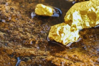 Gold Fields invierte C$50 millones en proyecto aurífero clave en Surinam