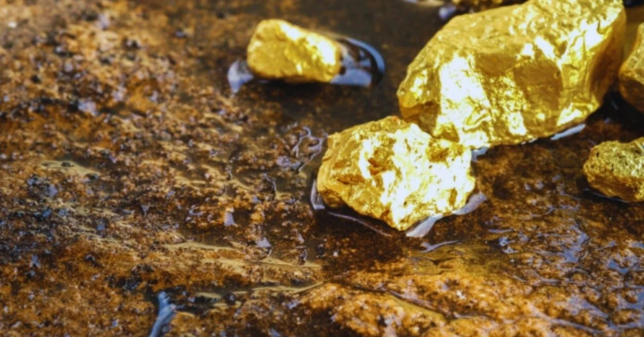 Gold Fields invierte C$50 millones en proyecto aurífero clave en Surinam