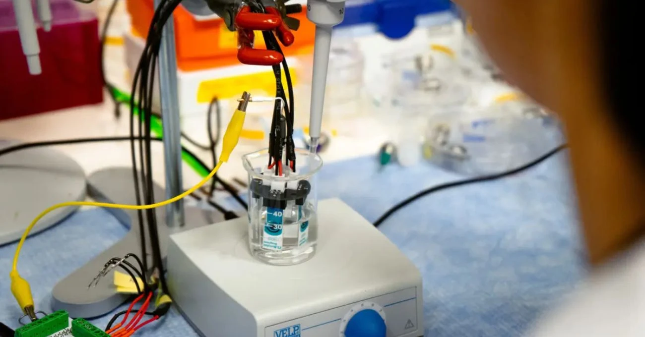 Grafeno impulsa una nueva era en la detección de litio y redefine el futuro de los sensores inteligentes