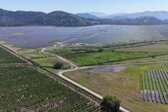 Grenergy asegura US$ 355 millones para Central Oasis en Chile: los 3 proyectos que suman 398 MW solares y 1,4 GWh en baterías